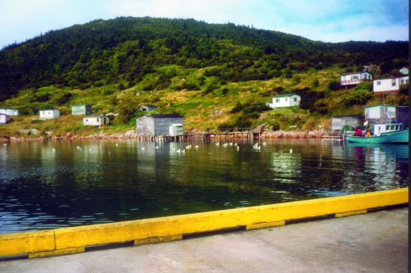 506: View looking southwest across Red Island harbour from the government wharf. (circa 2000) [courtesy of Madonna (Bishop) Mulrooney]